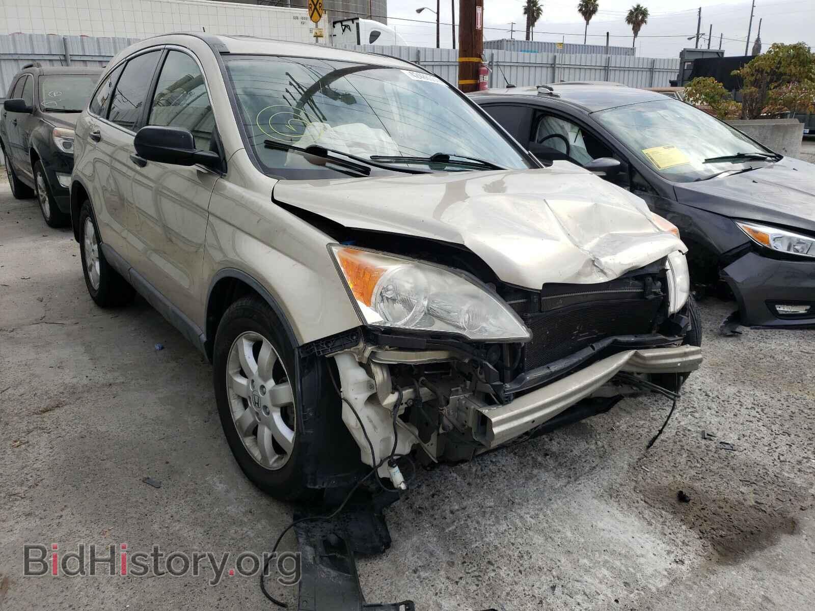 Photo JHLRE48587C023098 - HONDA CRV 2007
