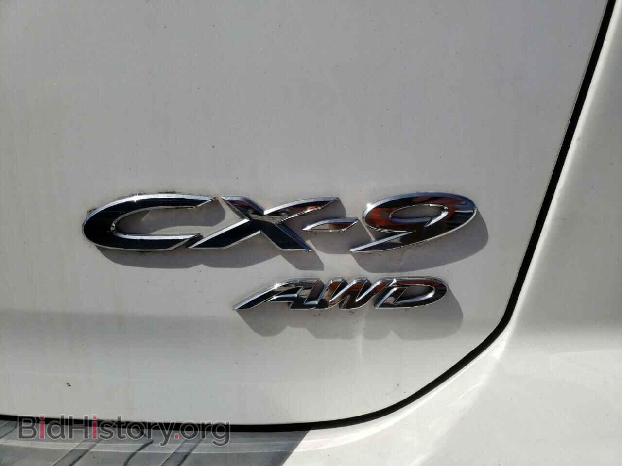 2010 MAZDA CX-9 - VIN: JM3TB3MV2A0200658 - Фото 9