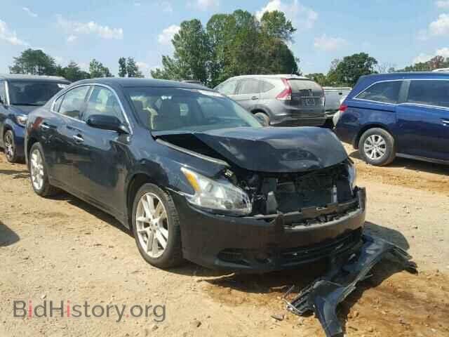 Фотография 1N4AA5AP0BC868338 - NISSAN MAXIMA 2011