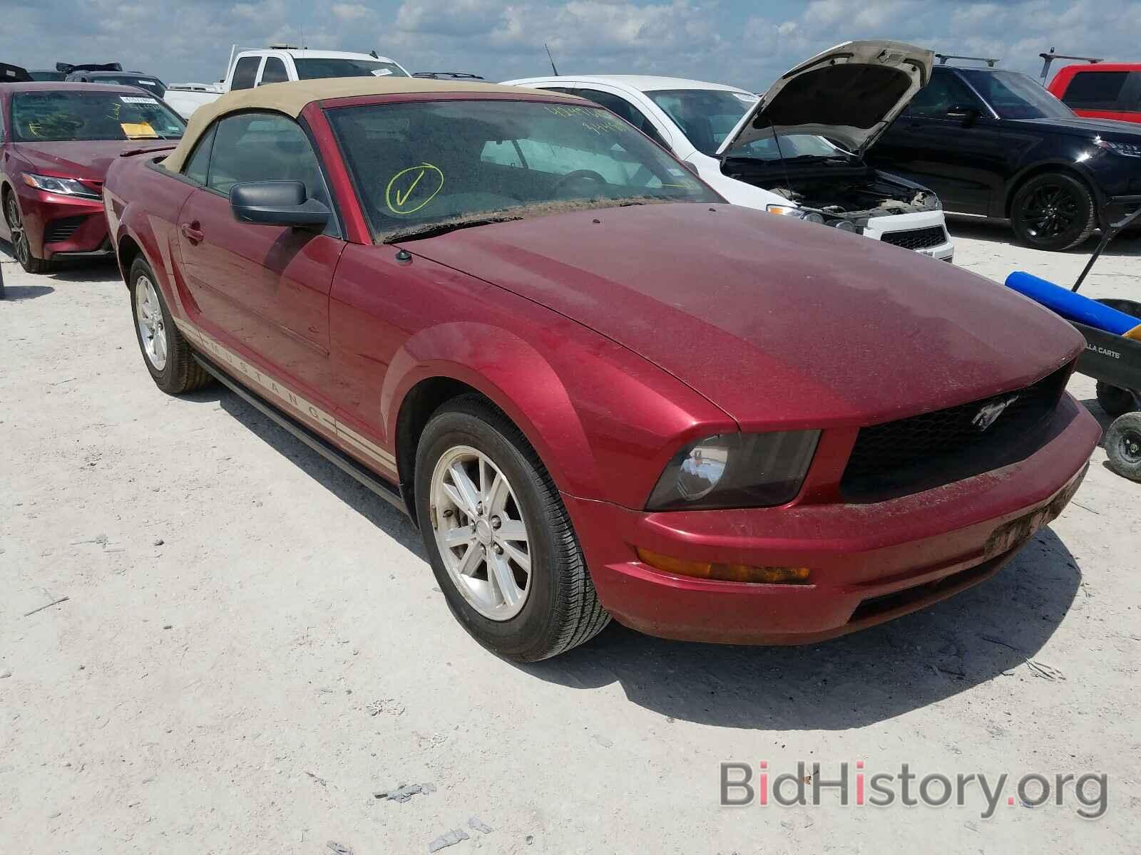 Photo 1ZVFT84N175344811 - FORD MUSTANG 2007