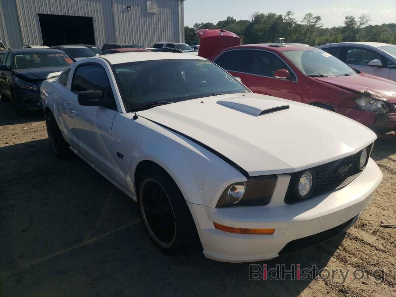 Photo 1ZVHT82H685203711 - FORD MUSTANG 2008