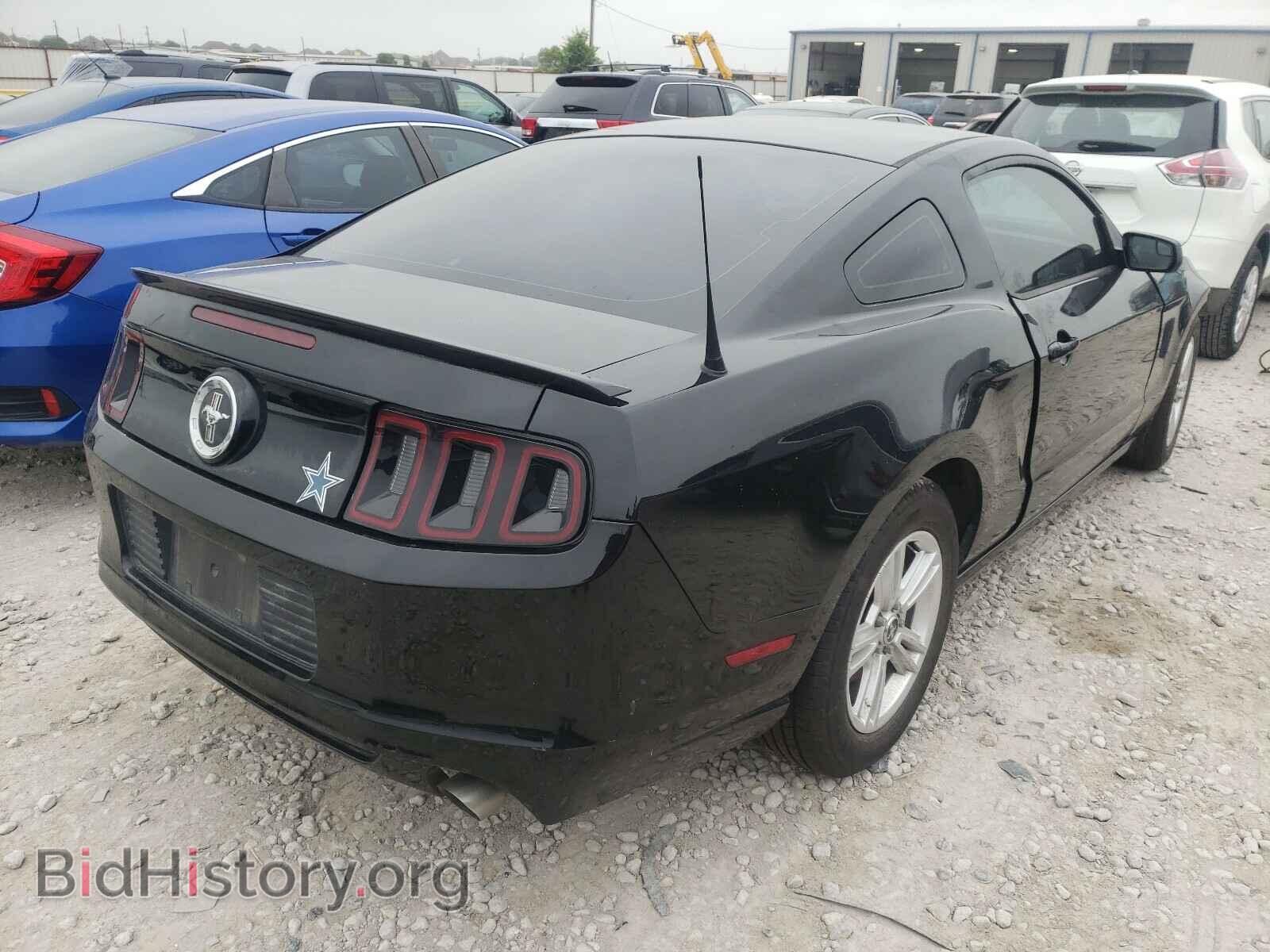 2013 FORD MUSTANG - VIN: 1ZVBP8AM8D5281782 - Фото 4