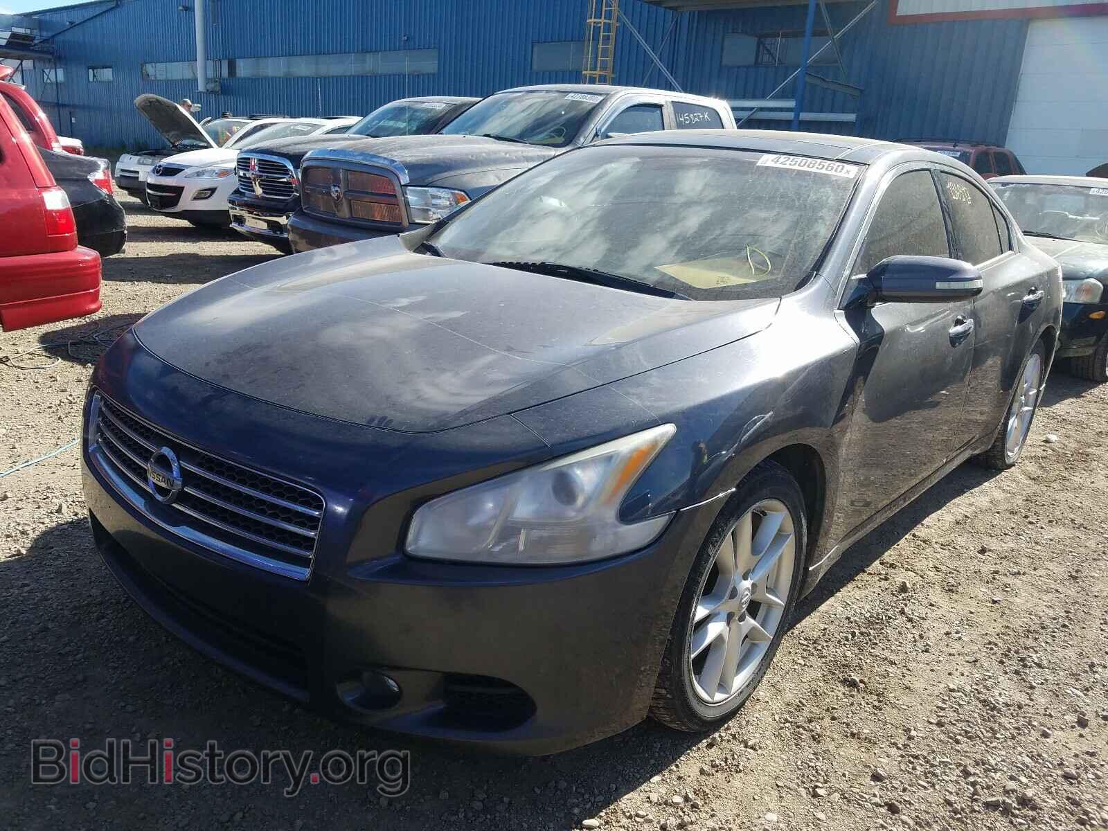 2009 NISSAN MAXIMA - VIN: 1N4AA51E99C836559 - Фото 2