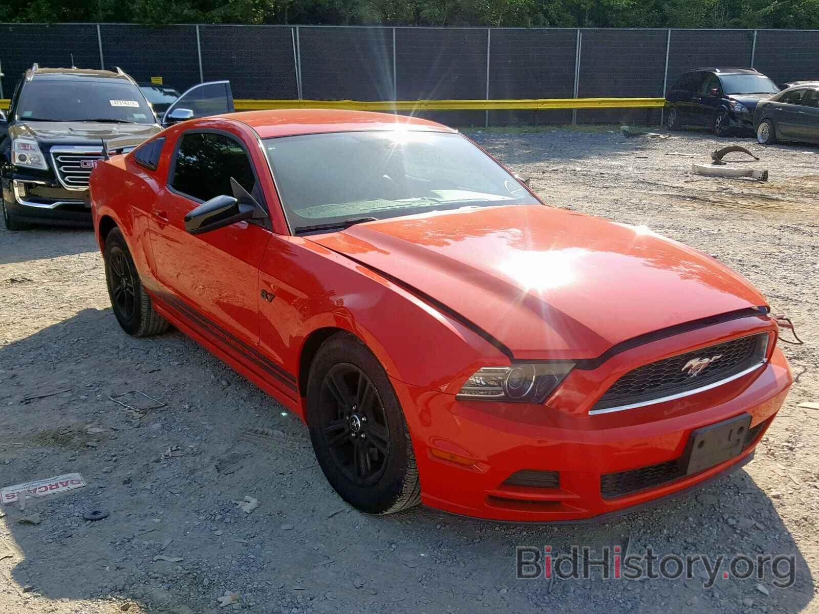 Photo 1ZVBP8AM4D5224852 - FORD MUSTANG 2013