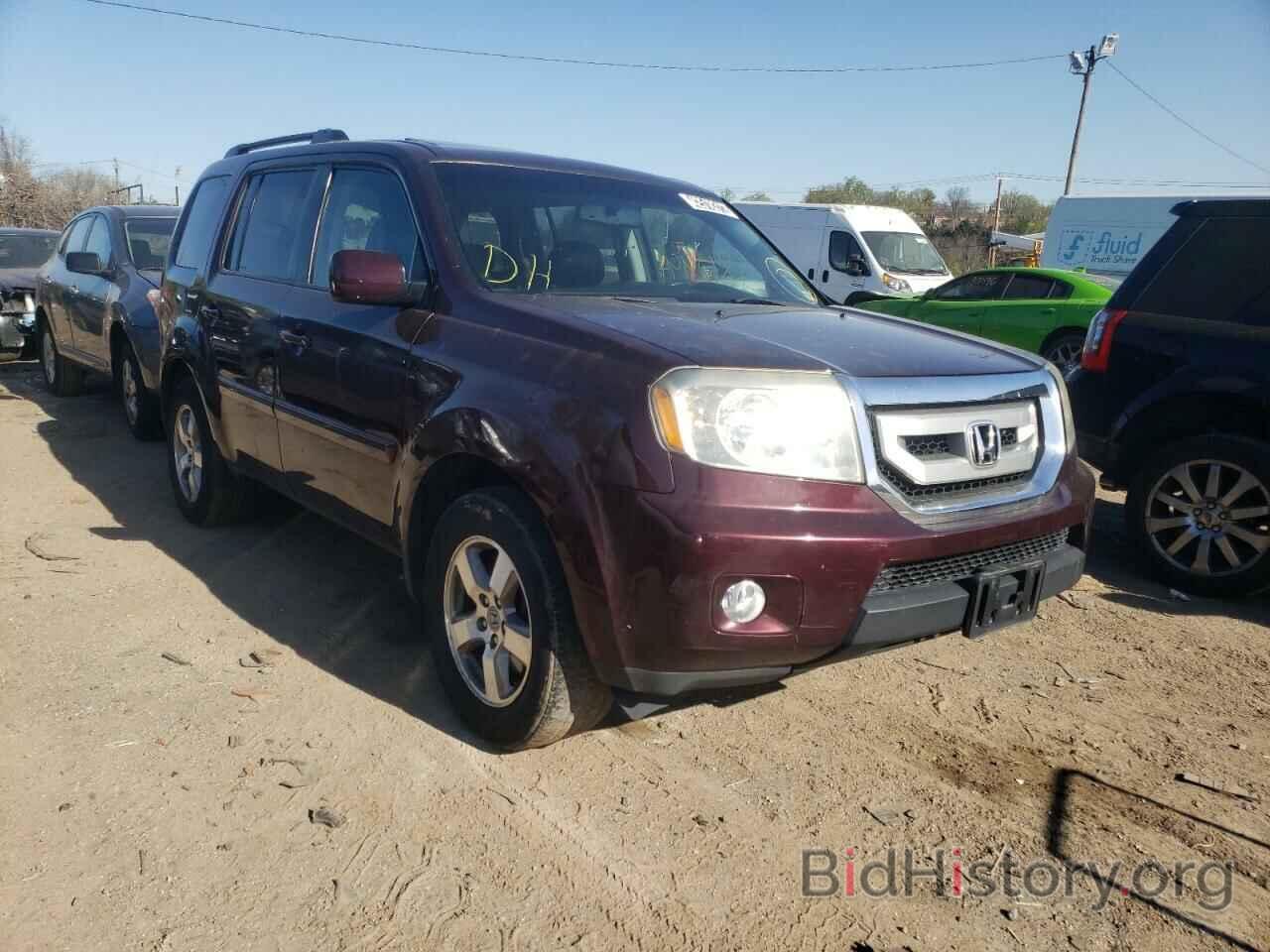 Photo 5FNYF4H51BB004510 - HONDA PILOT 2011