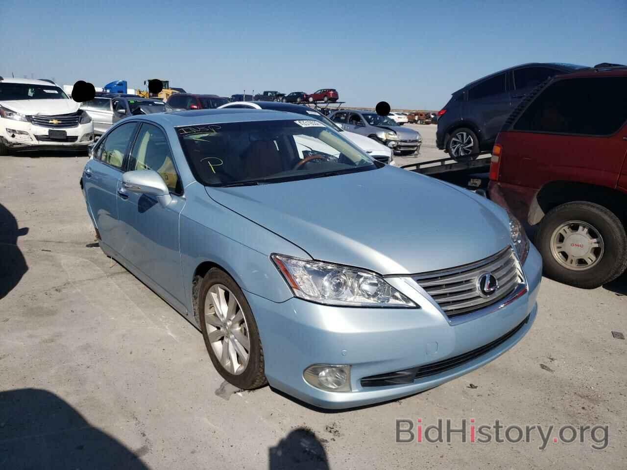 Photo JTHBK1EG9A2398604 - LEXUS ES350 2010