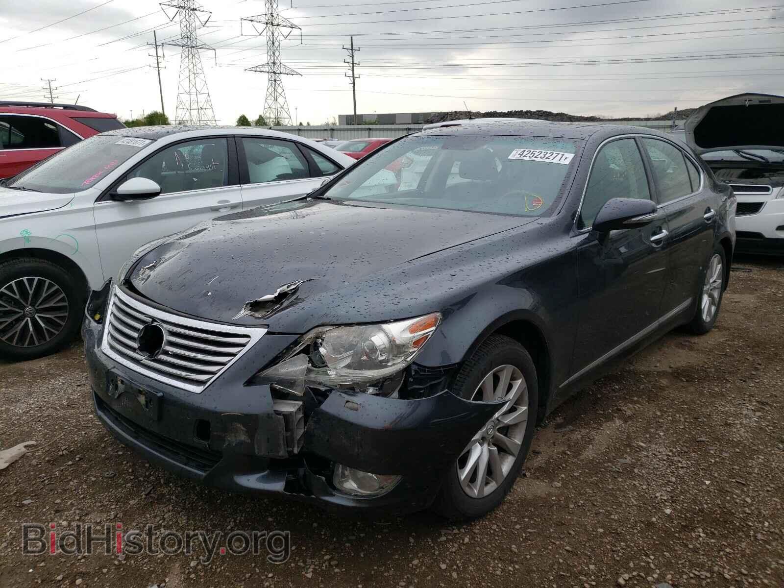 2010 LEXUS LS460 - VIN: JTHCL5EF5A5006460 - Фото 2