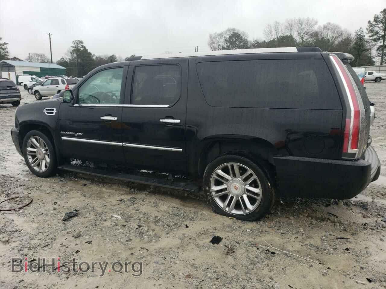 2011 CADILLAC ESCALADE - VIN: 1GYS4JEF2BR360847 - Фото 2