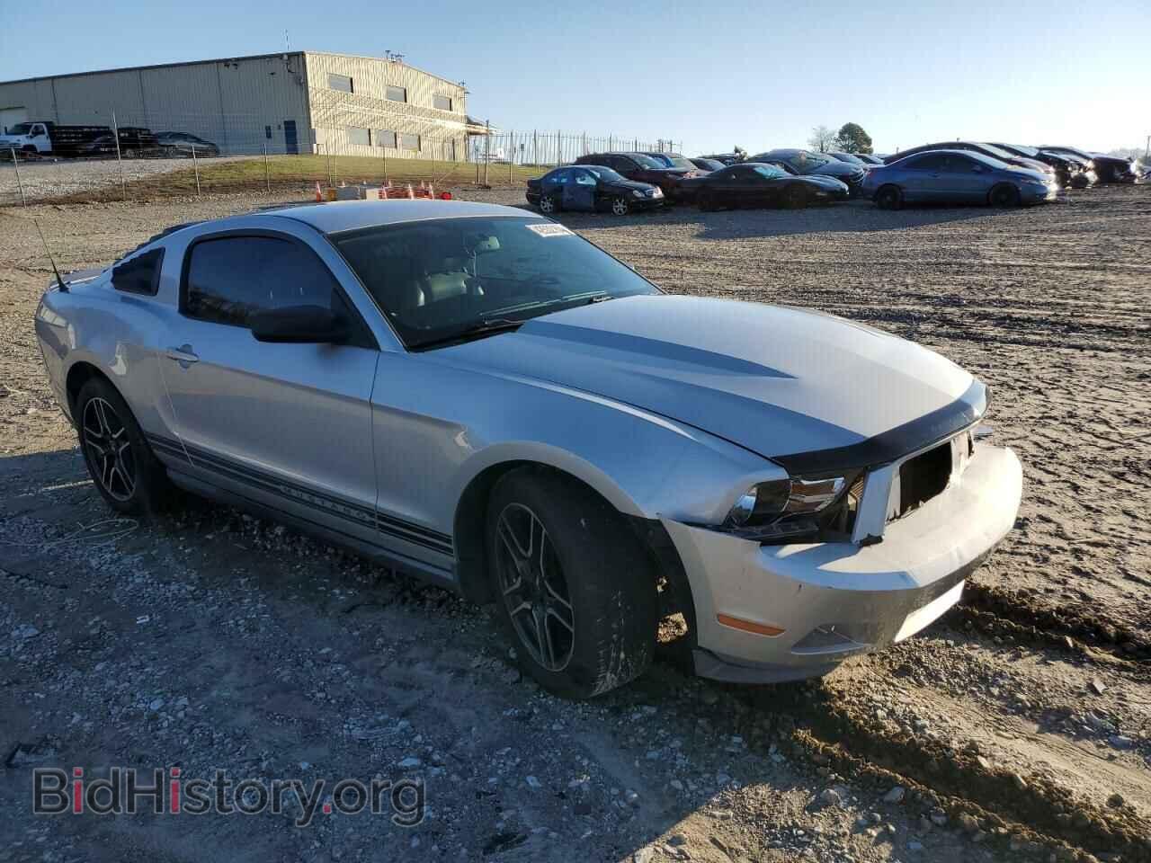 2010 FORD ALL Models - VIN: 1ZVBP8AN8A5173652 - Фото 4