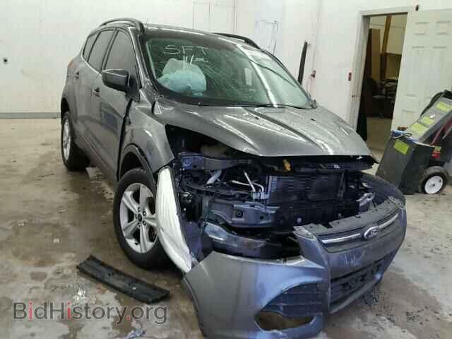 Фотография 1FMCU0GX2EUB22407 - FORD ESCAPE 2014