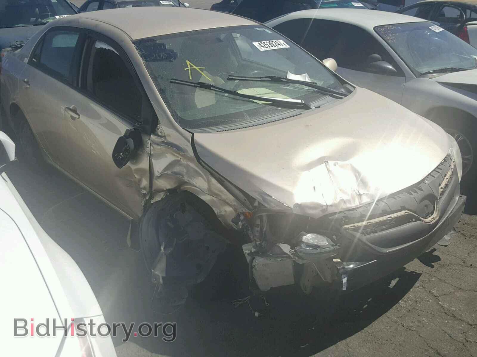 Фотография 2T1BU4EEXBC587485 - TOYOTA COROLLA 2011