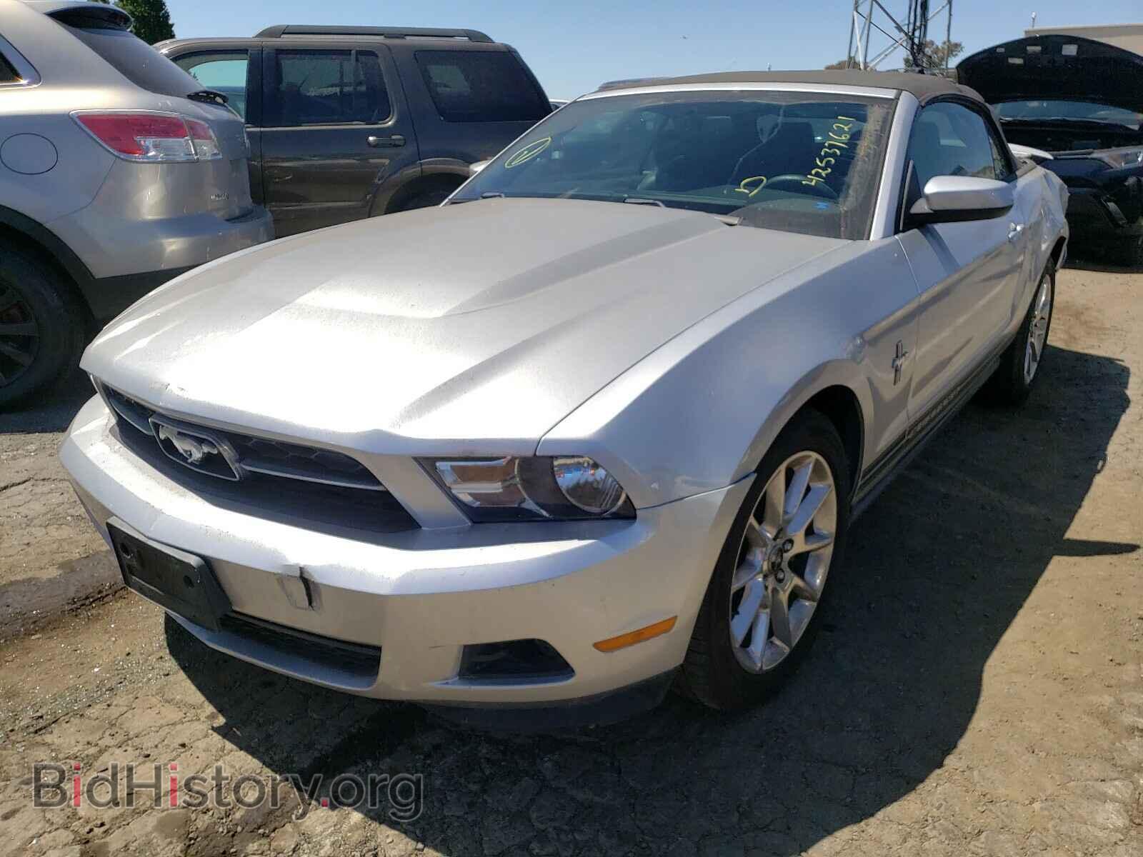 2011 FORD MUSTANG - VIN: 1ZVBP8EM1B5165587 - Фото 2
