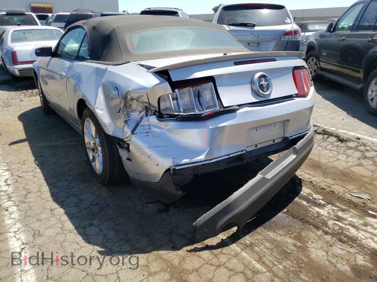 2011 FORD MUSTANG - VIN: 1ZVBP8EM1B5165587 - Фото 3