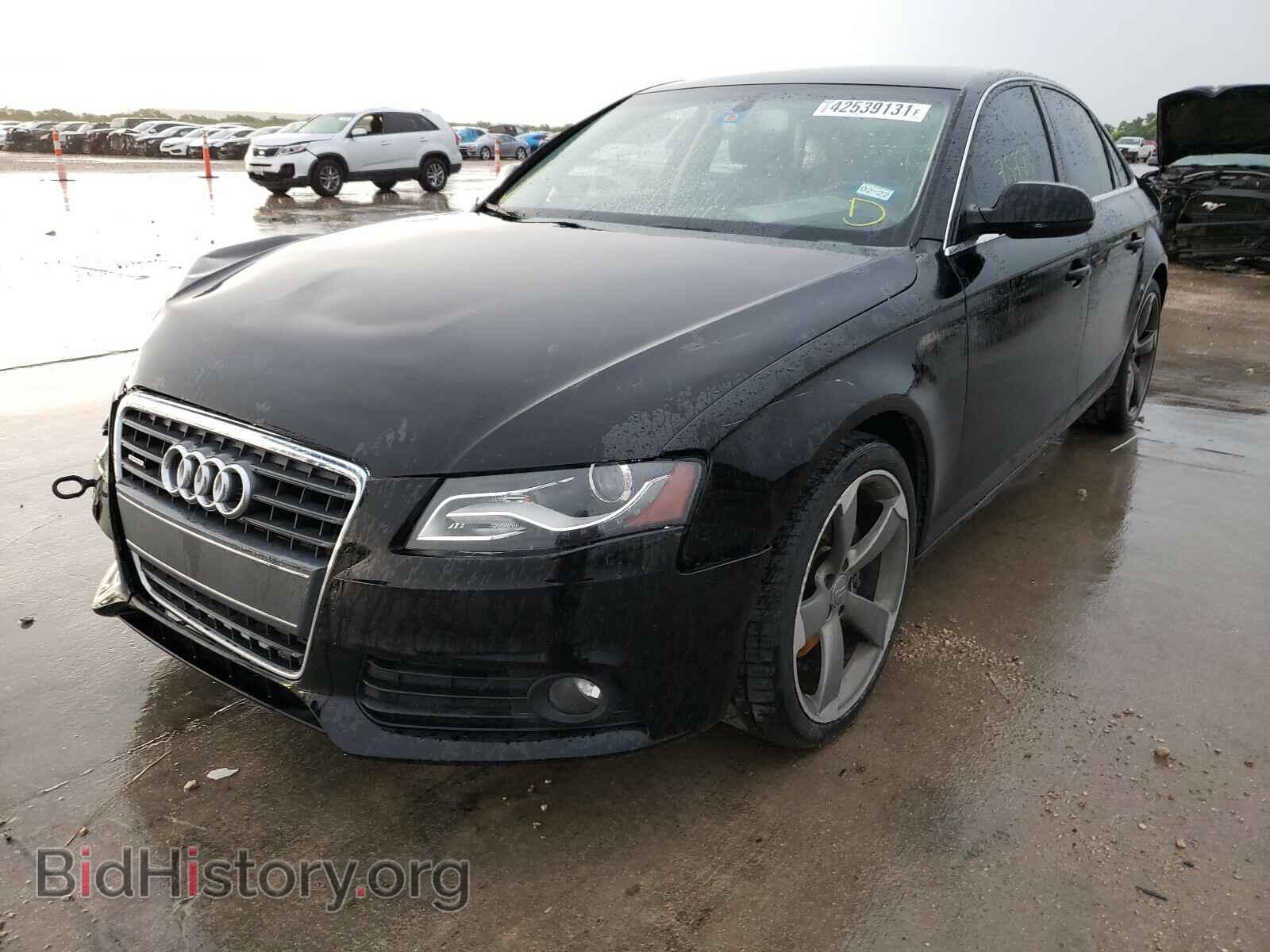 2010 AUDI A4 - VIN: WAUFFAFLXAN015462 - Фото 2