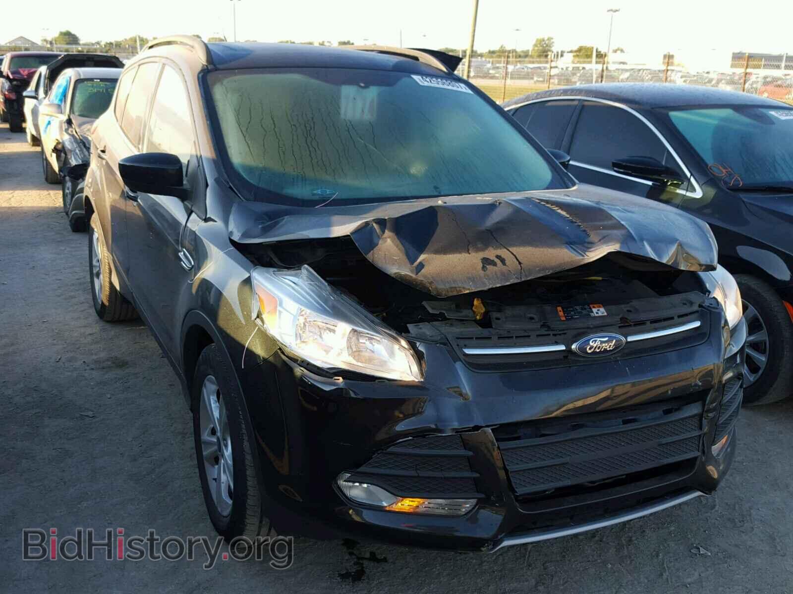 Фотография 1FMCU0GX8EUC24519 - FORD ESCAPE 2014