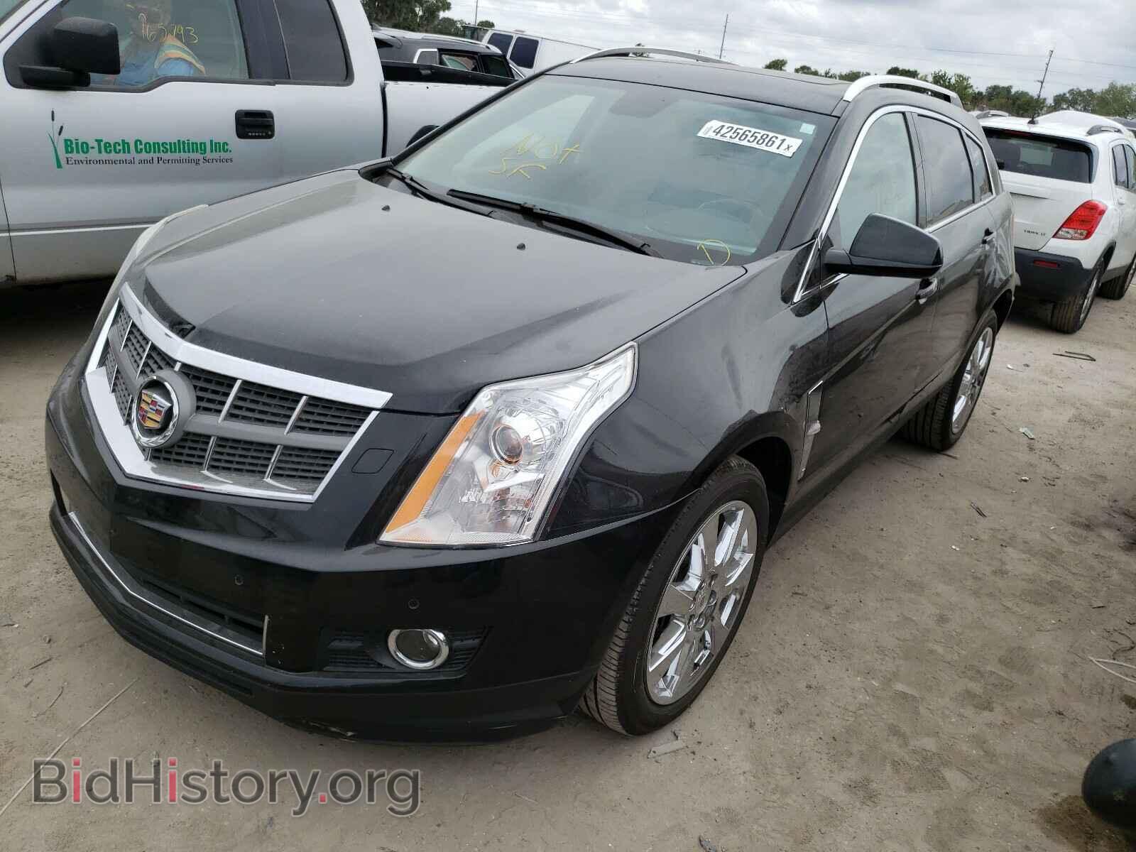 2011 CADILLAC SRX - VIN: 3GYFNKE60BS510455 - Фото 2