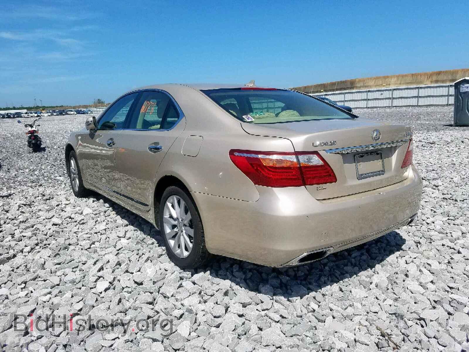 2010 LEXUS LS460 - VIN: JTHCL5EF9A5007479 - Фото 3