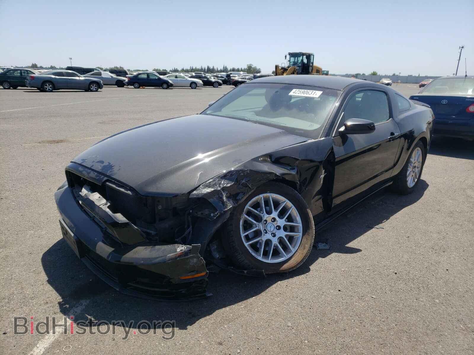 2014 FORD MUSTANG - VIN: 1ZVBP8AM3E5281514 - Фото 2
