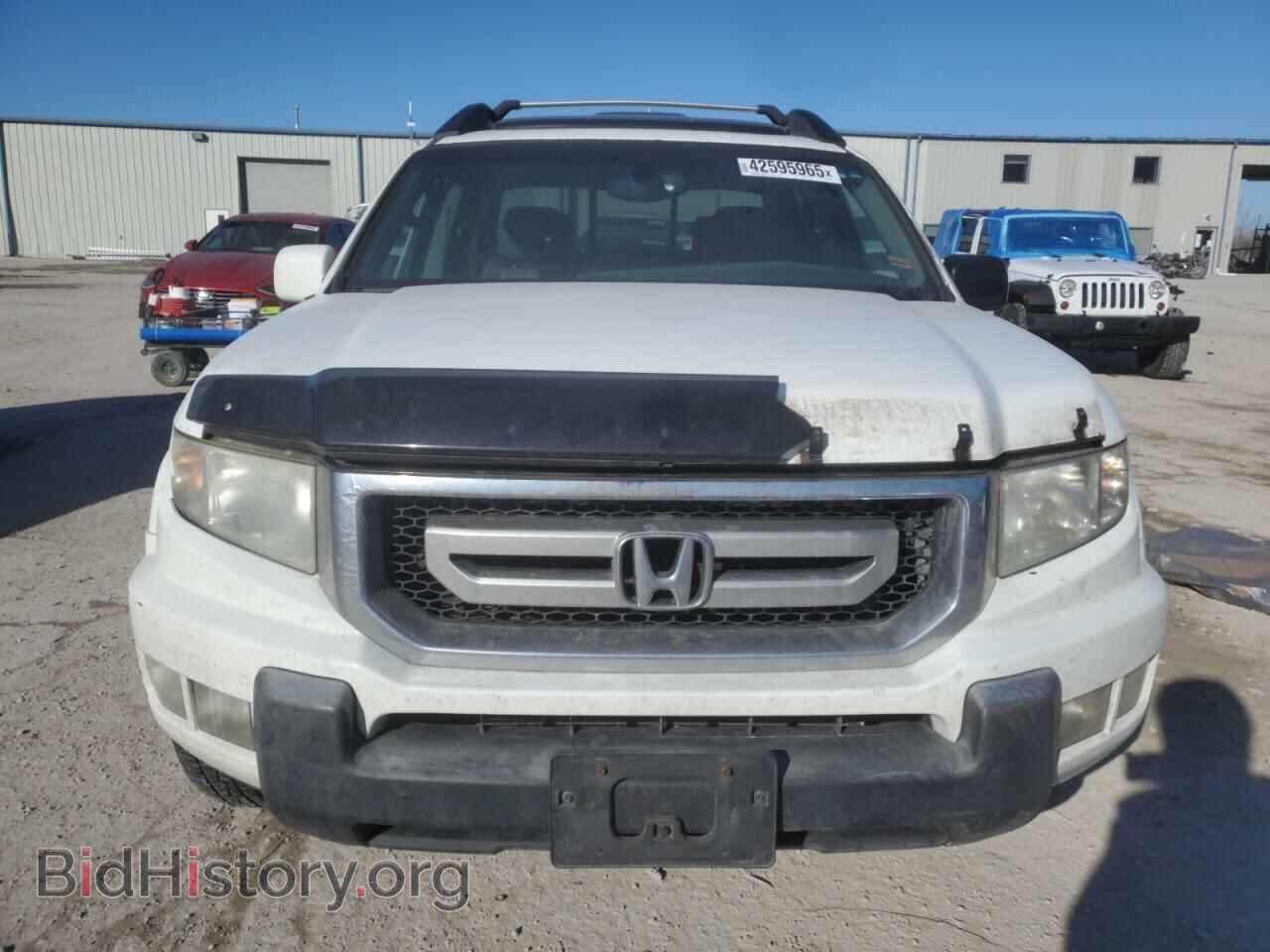 2010 HONDA RIDGELINE - VIN: 5FPYK1F58AB001901 - Фото 5