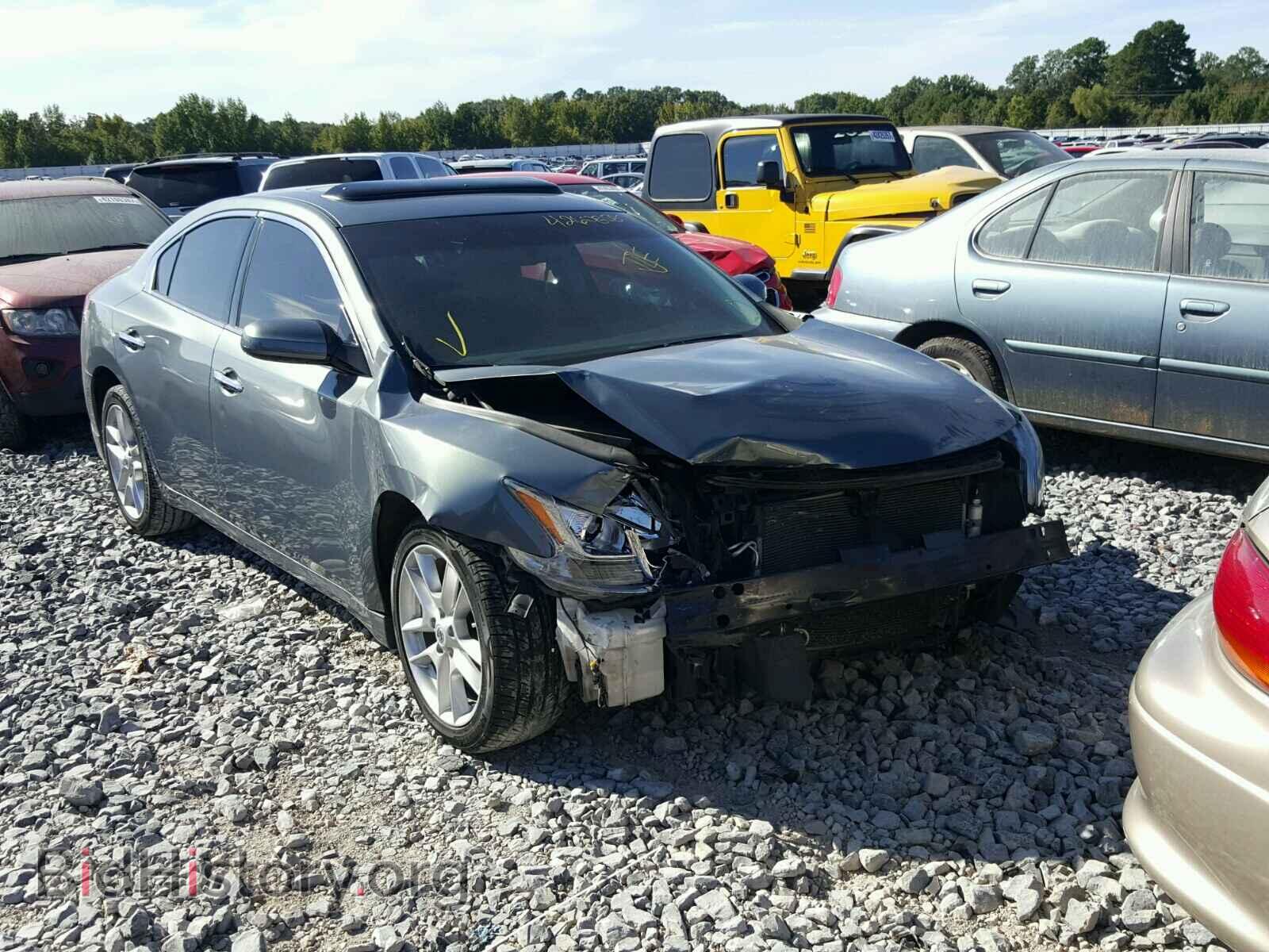 Фотография 1N4AA5AP1BC817494 - NISSAN MAXIMA 2011