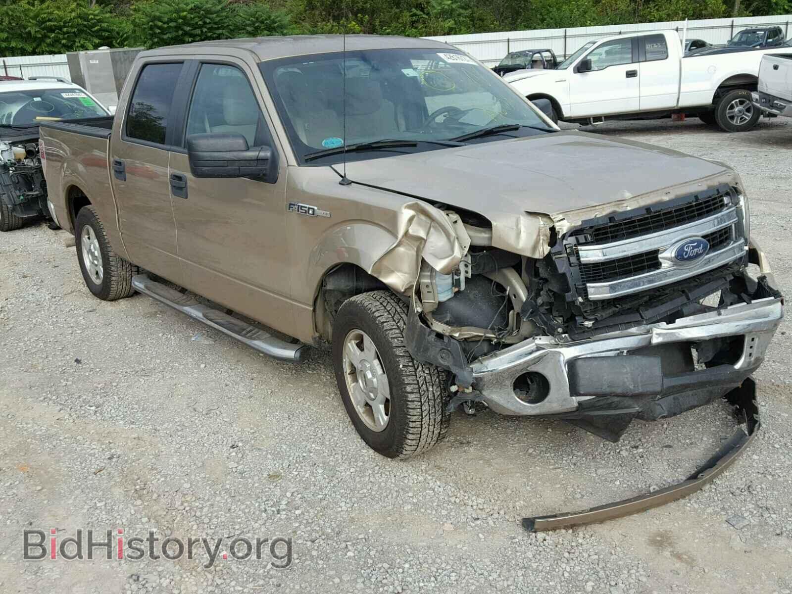 Фотография 1FTFW1CF1DFA16838 - FORD F150 2013