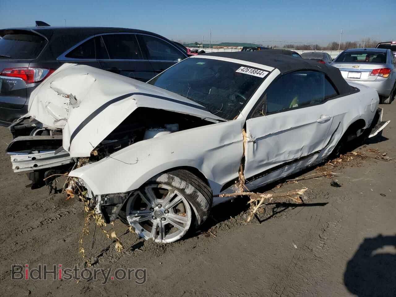 Фотография 1ZVBP8EM4D5238745 - FORD ALL Models 2013