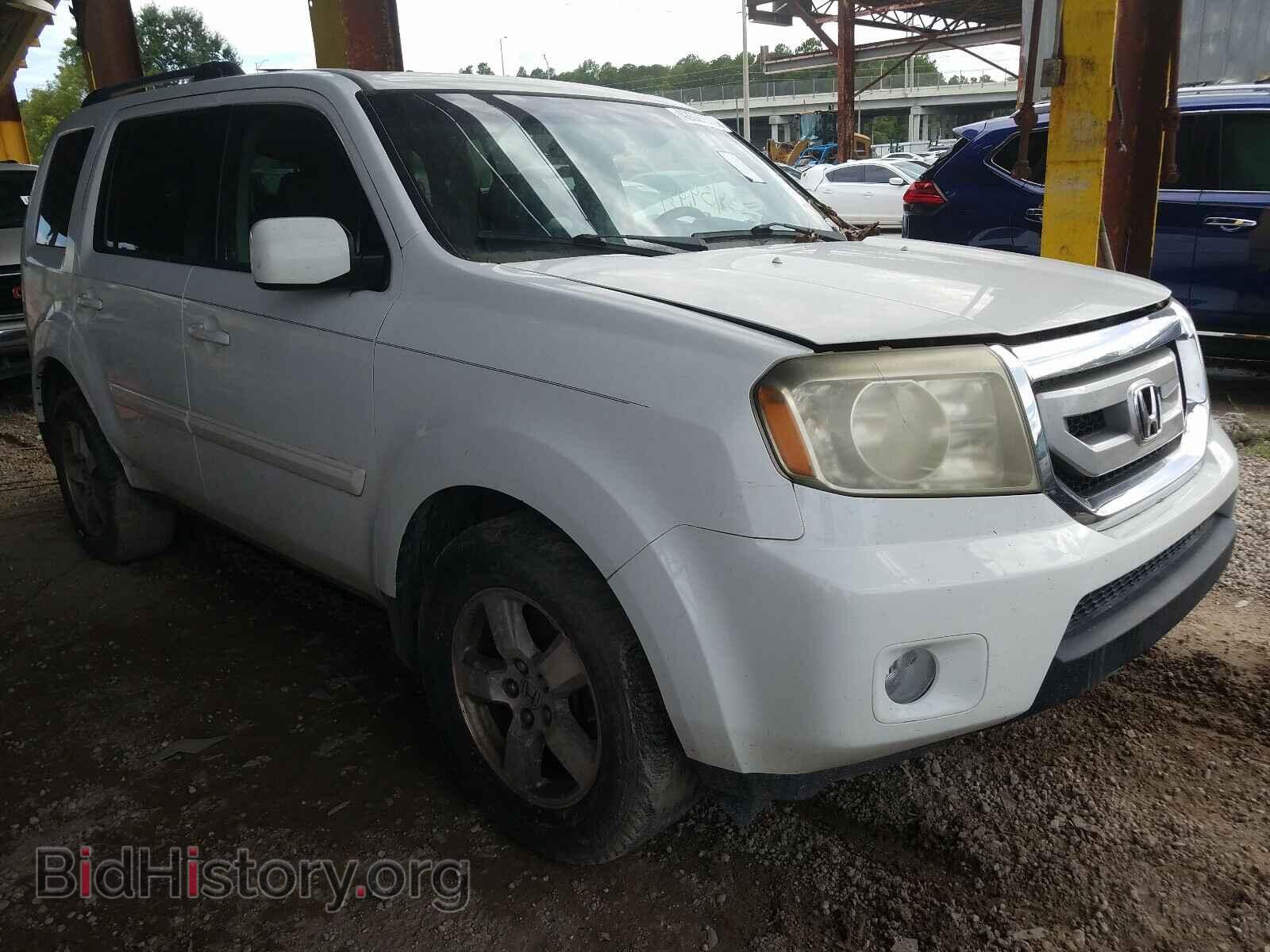 Фотография 5FNYF38469B014669 - HONDA PILOT 2009
