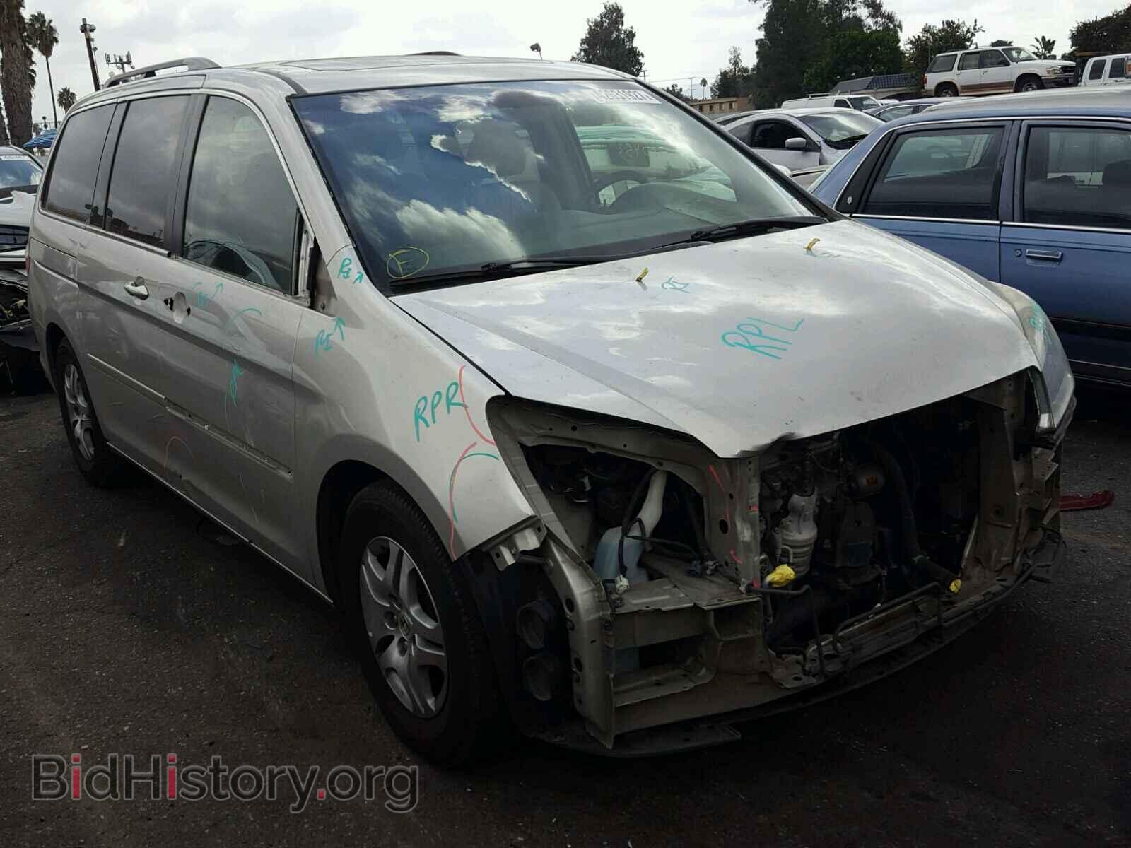Фотография 5FNRL38775B056530 - HONDA ODYSSEY 2005
