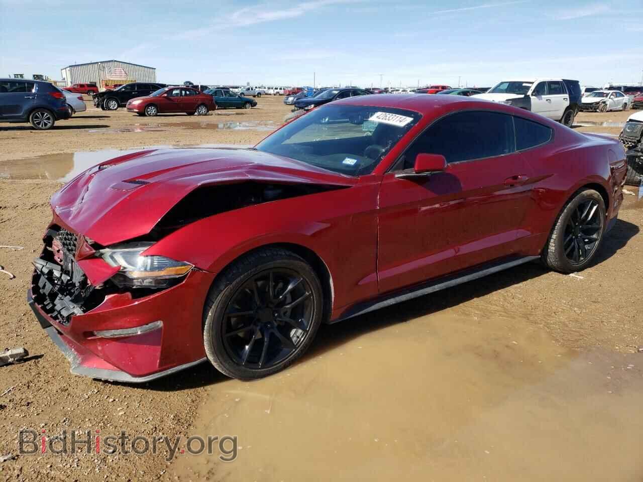 Фотография 1FA6P8TH4K5202020 - FORD ALL Models 2019