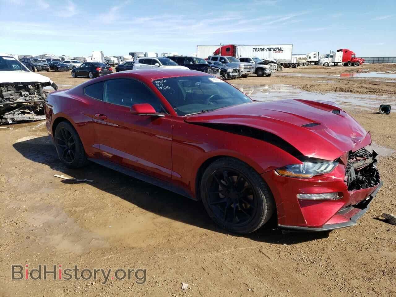 2019 FORD ALL Models - VIN: 1FA6P8TH4K5202020 - Фото 4