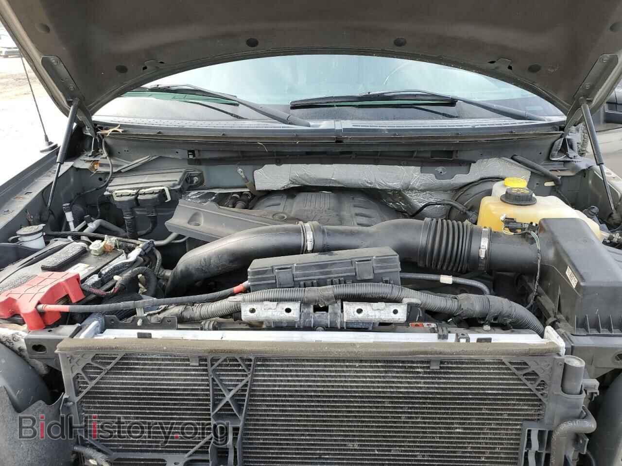 2013 FORD F-150 - VIN: 1FTFX1CT7DFD30769 - Photo 11