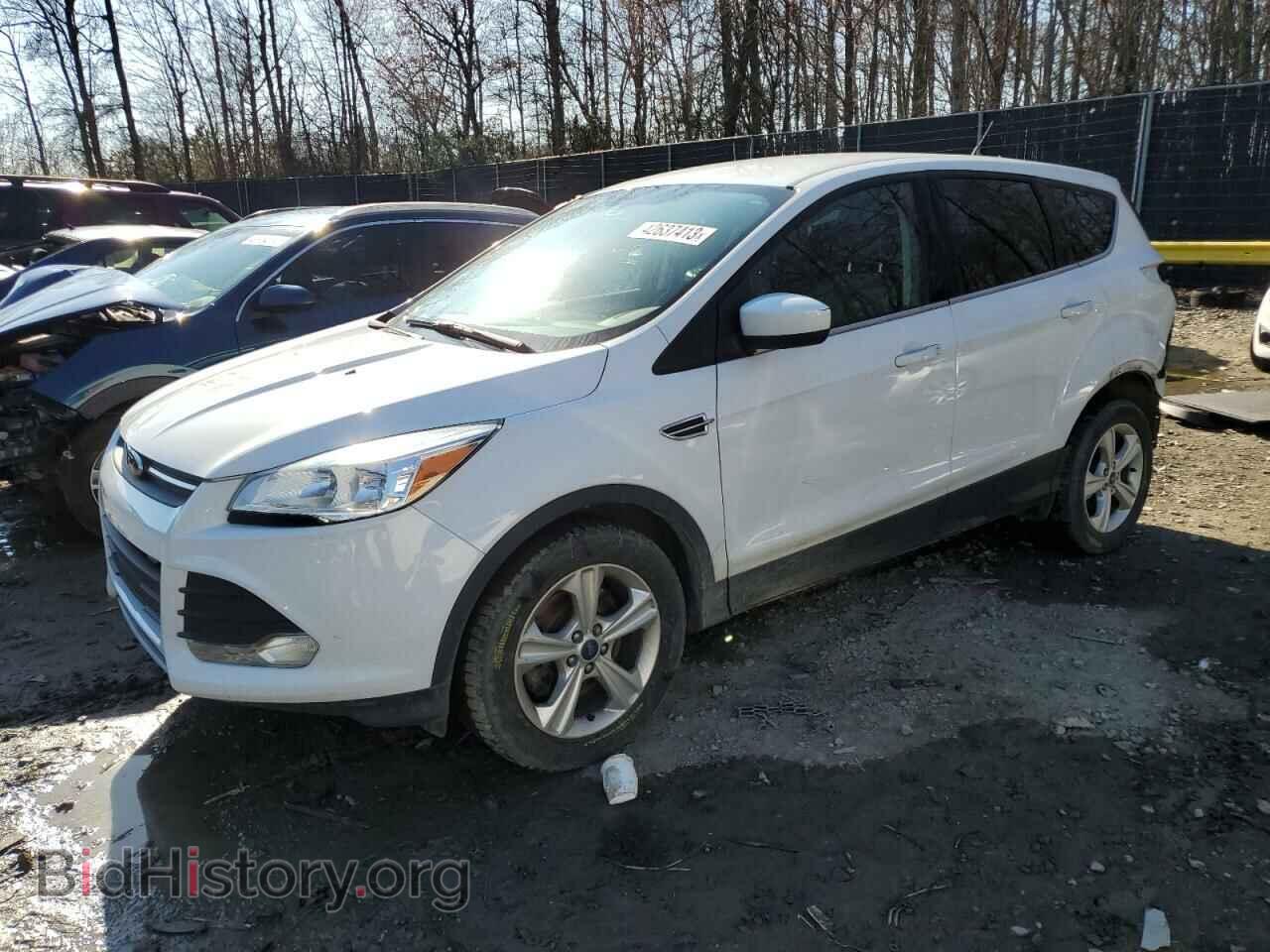 Фотография 1FMCU0G99DUA41811 - FORD ESCAPE 2013