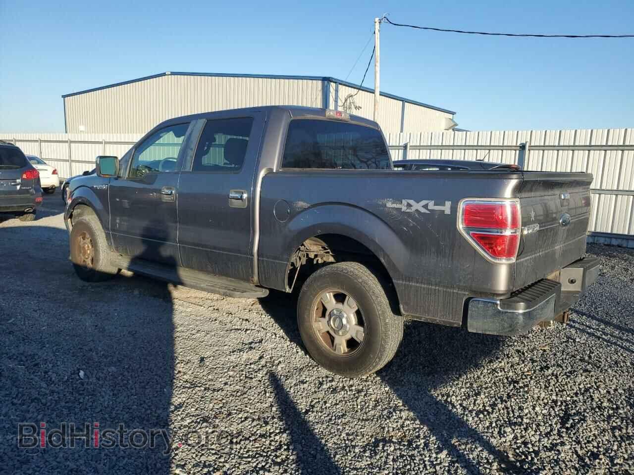 2010 FORD F-150 - VIN: 1FTEW1E88AFA83684 - Фото 2