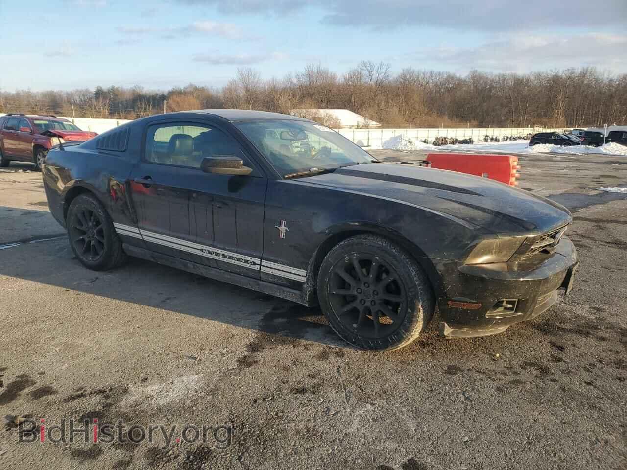 2010 FORD ALL Models - VIN: 1ZVBP8AN7A5119680 - Фото 4