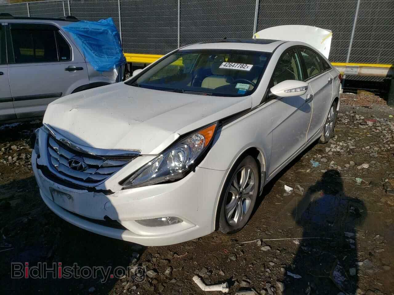 2013 HYUNDAI SONATA - VIN: 5NPEC4AC7DH559082 - Фото 2