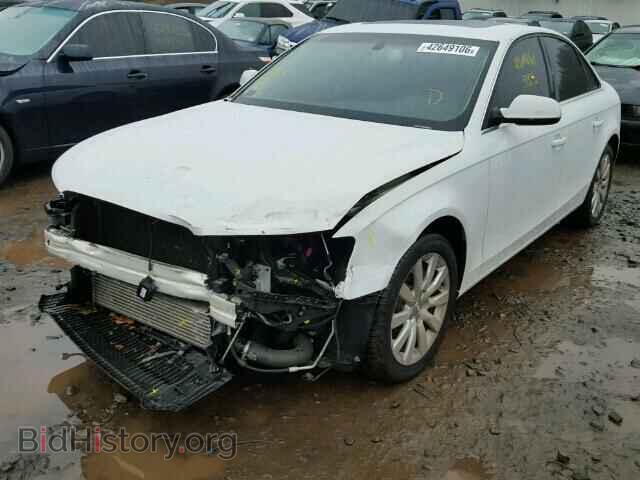 2013 AUDI A4 - VIN: WAUBFAFL3DN033336 - Фото 2