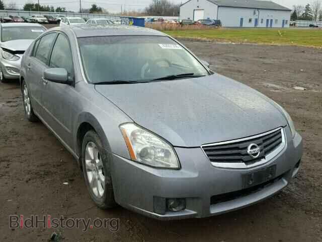 Фотография 1N4BA41E38C820919 - NISSAN MAXIMA 2008