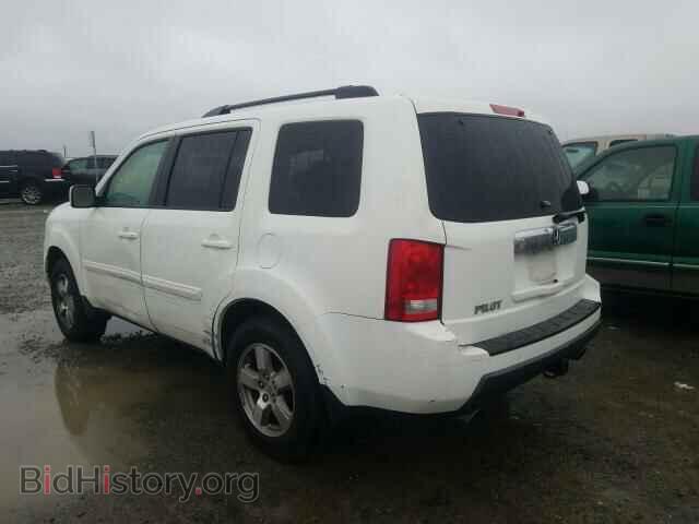 2009 HONDA PILOT - VIN: 5FNYF38559B024828 - Фото 3