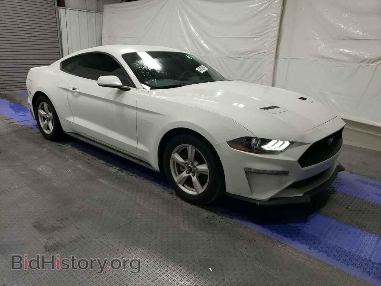 2019 FORD ALL Models - VIN: 1FA6P8THXK5199107 - Photo 4