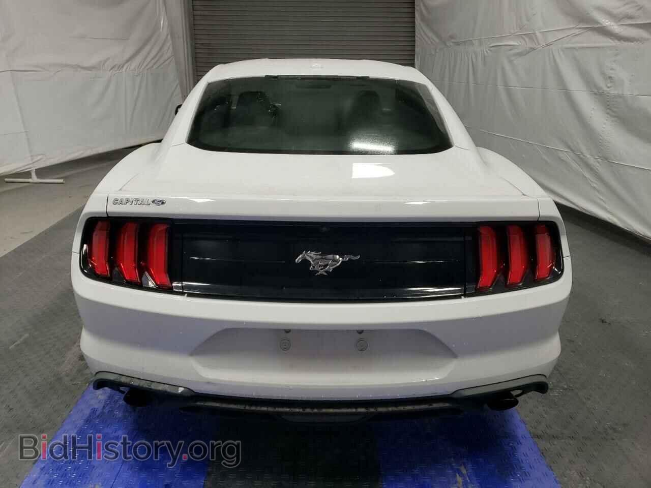 2019 FORD ALL Models - VIN: 1FA6P8THXK5199107 - Photo 6