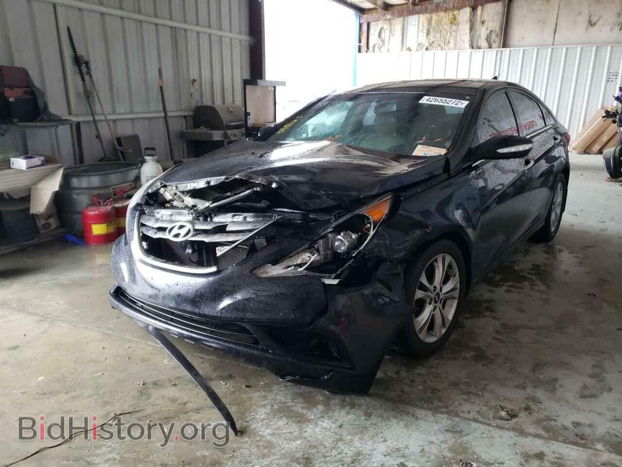2013 HYUNDAI SONATA - VIN: 5NPEC4AC3DH592239 - Фото 2