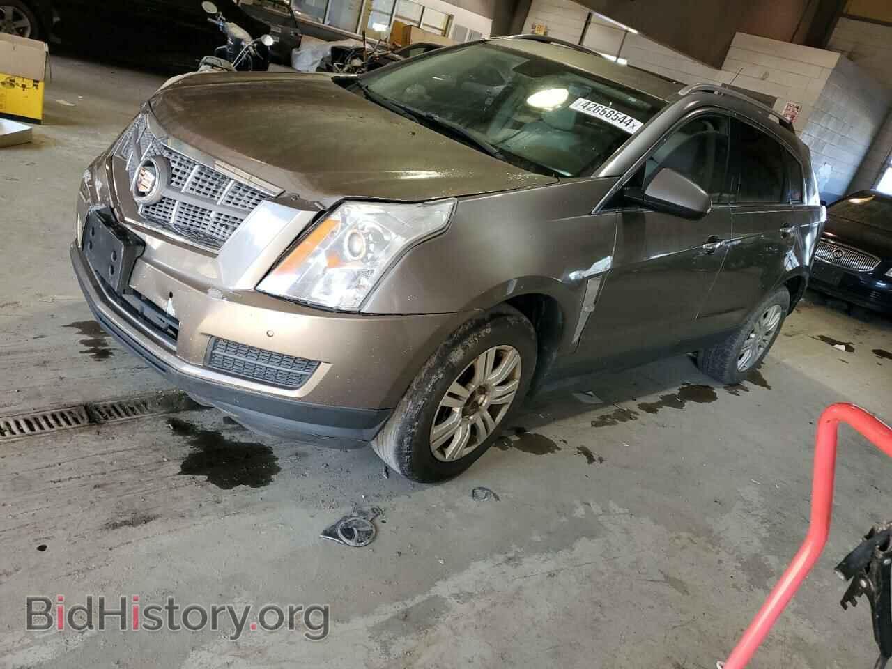 Фотография 3GYFNAEYXBS599947 - CADILLAC SRX 2011