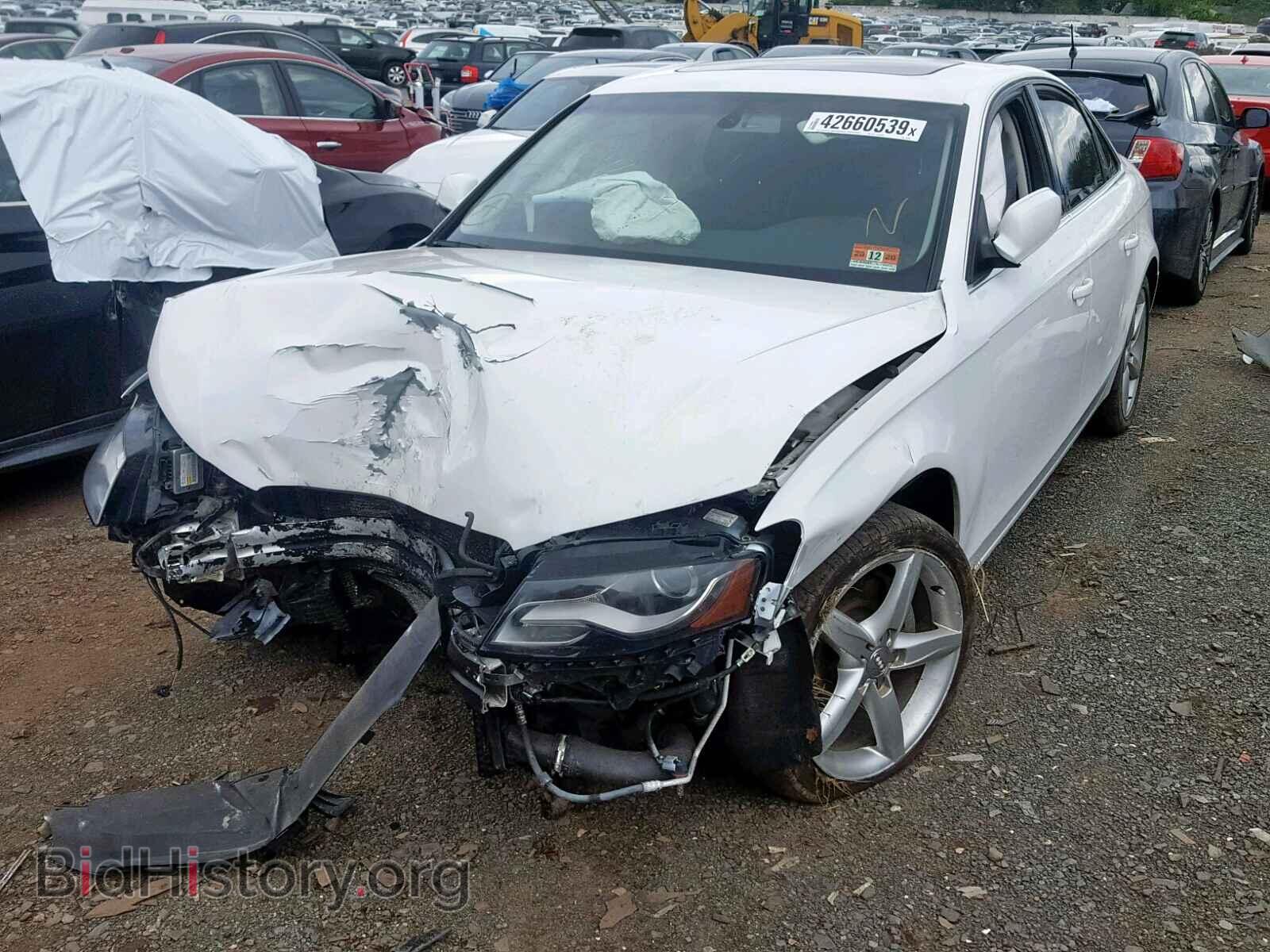 2011 AUDI A4 - VIN: WAUFFAFLXBN056529 - Фото 2