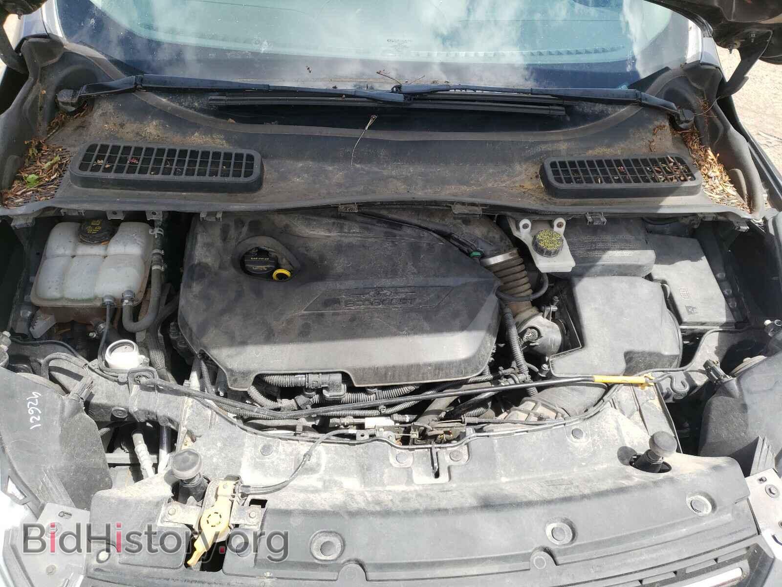2014 FORD ESCAPE - VIN: 1FMCU0GX7EUC51310 - Фото 7