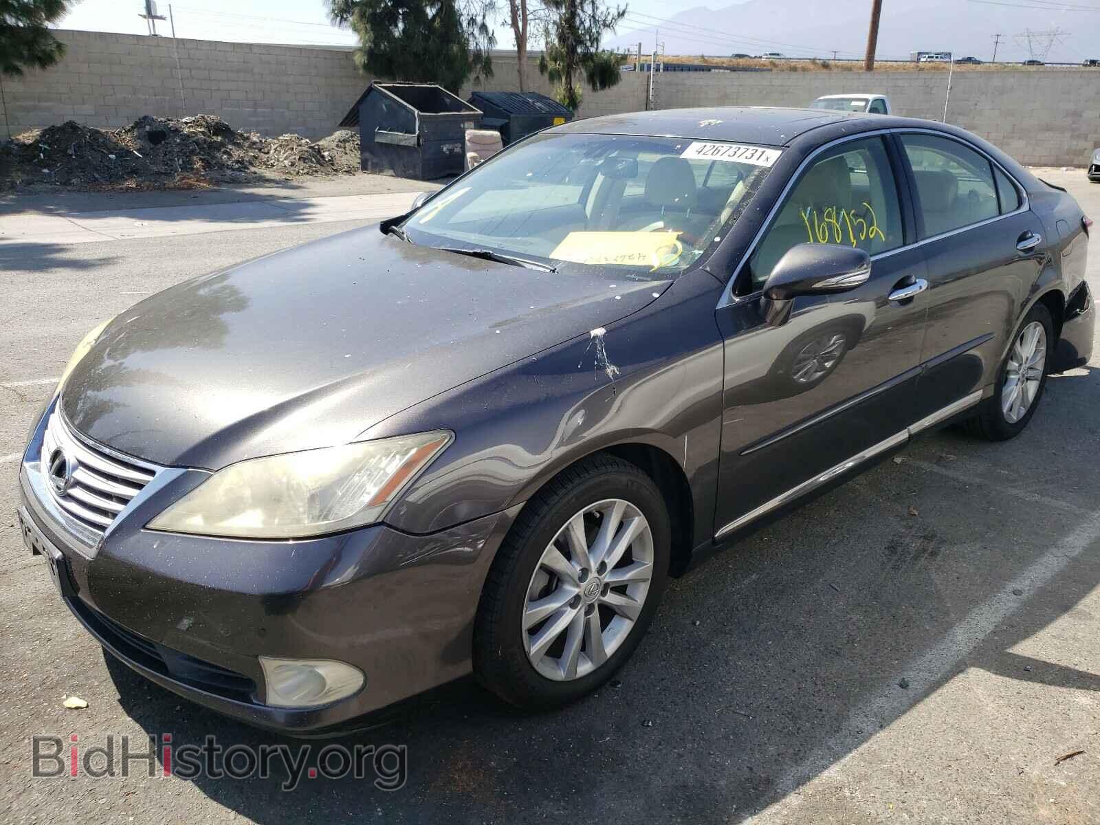 2010 LEXUS ES350 - VIN: JTHBK1EG8A2408085 - Фото 2