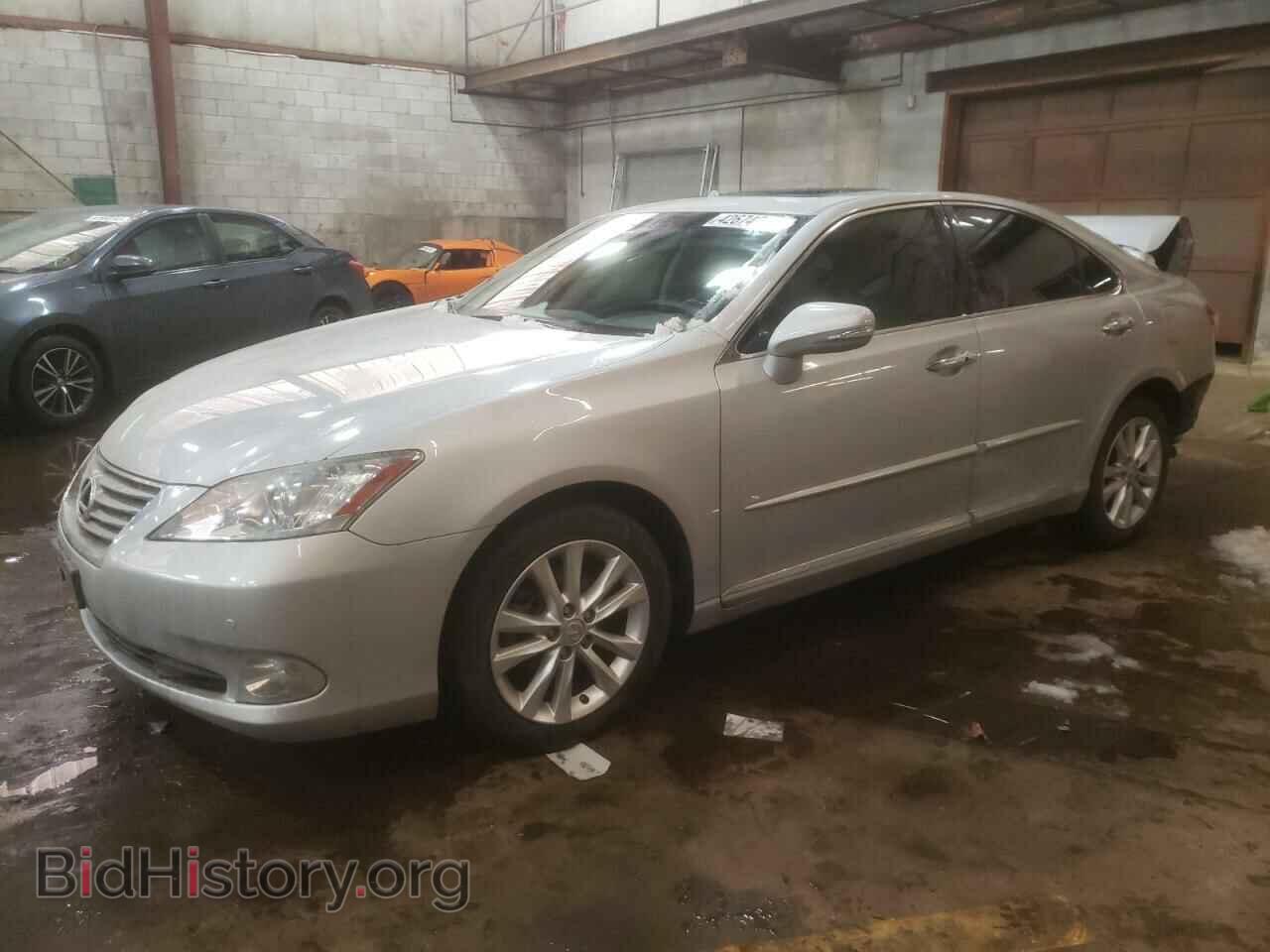 Фотография JTHBK1EG1B2421455 - LEXUS ES350 2011