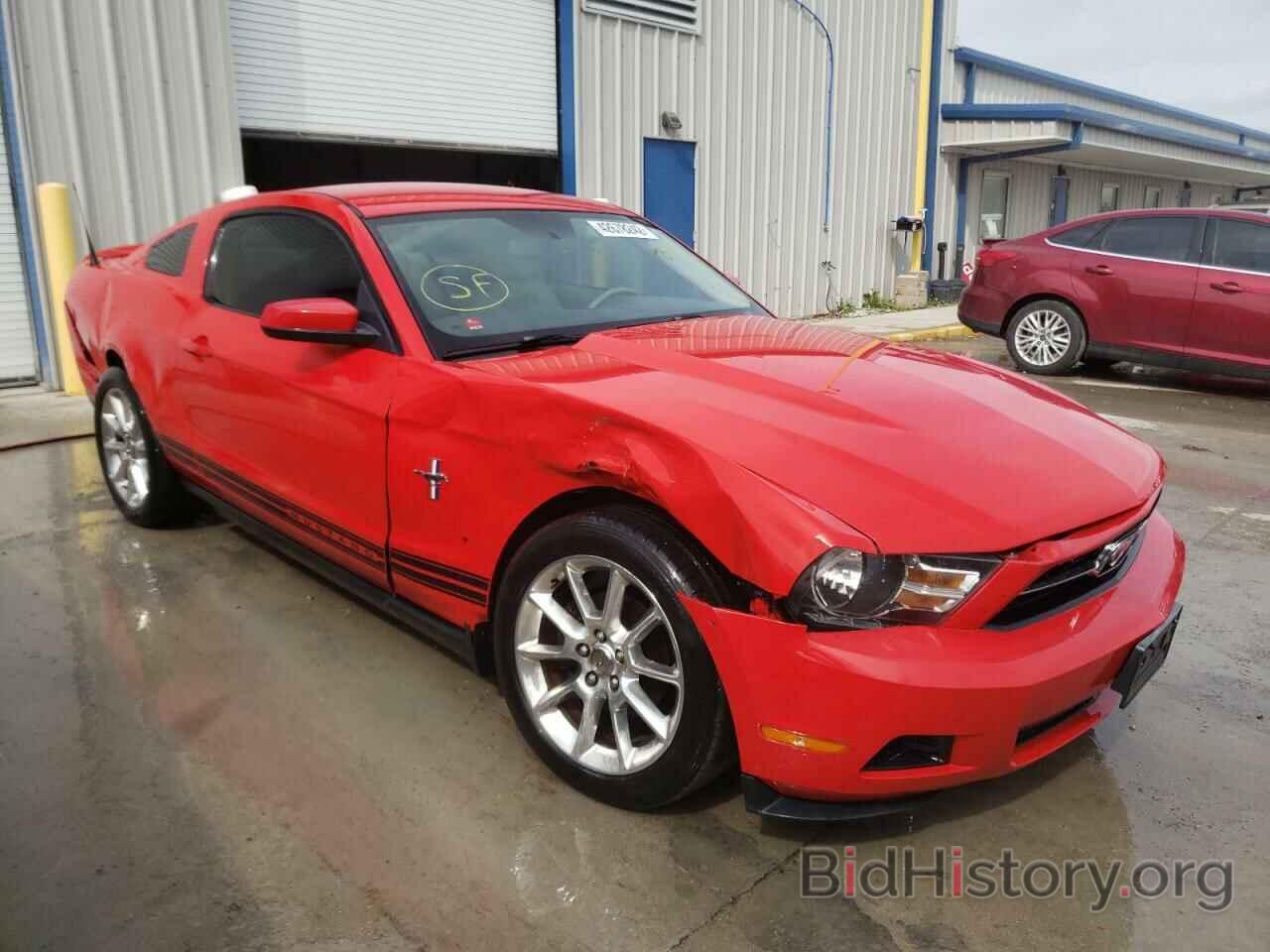 Photo 1ZVBP8AN2A5135141 - FORD MUSTANG 2010