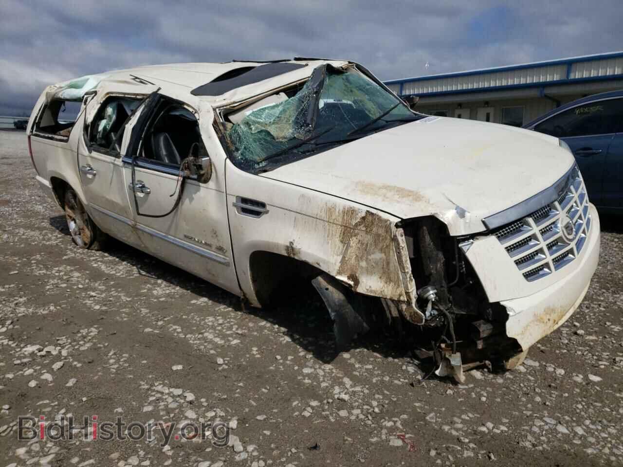 Photo 1GYUKHEF9AR267202 - CADILLAC ESCALADE 2010