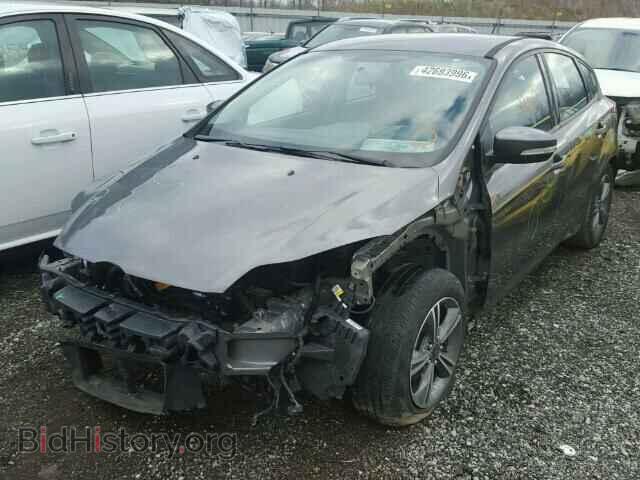 2014 FORD FOCUS - VIN: 1FADP3K25EL340043 - Фото 2