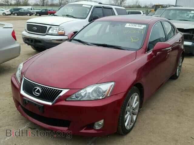 2010 LEXUS IS250 - VIN: JTHCF5C2XA5044547 - Фото 2
